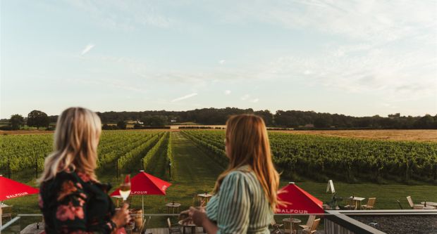 Balfour Winery near Maidstone, Kent